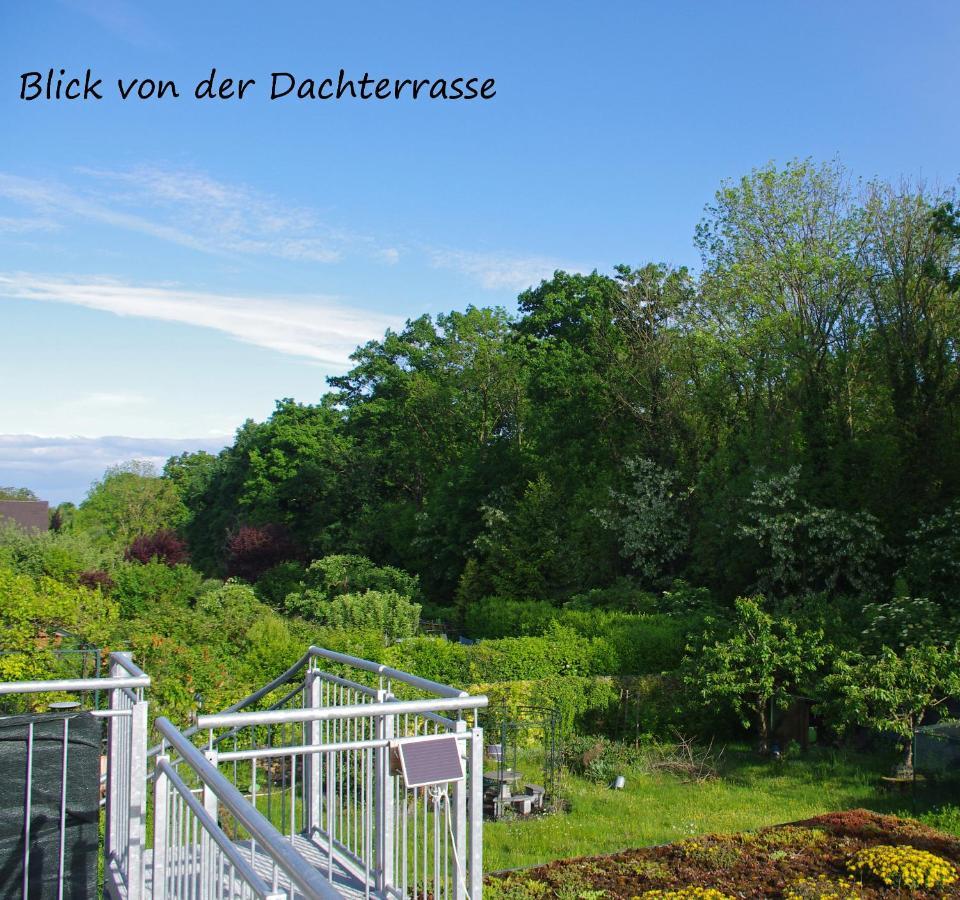 Ferienwohnung Schweier - Ausserhalb Und Doch Zentral Freiburg im Breisgau Ngoại thất bức ảnh